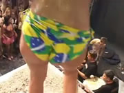 Fiesta de Carnaval de Brasil
